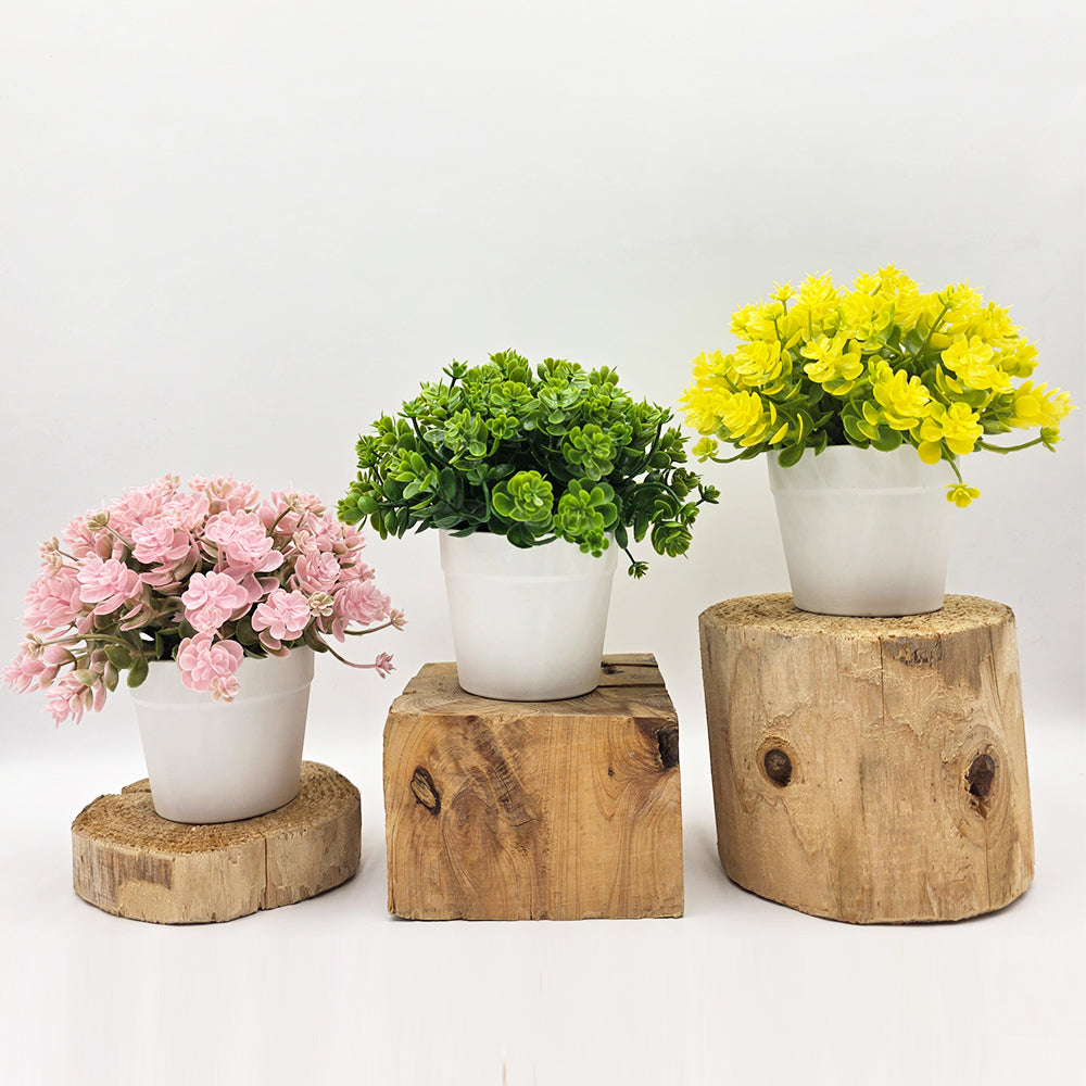 Modern Artificial Eucalyptus Plant in Ceramic Pot